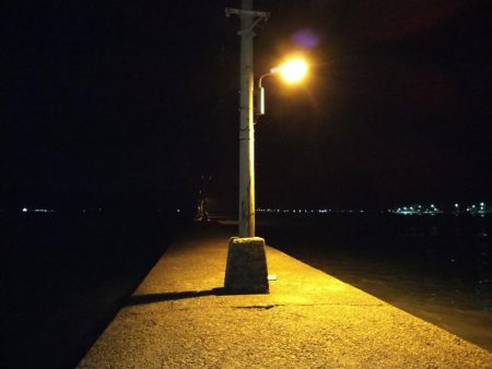 常夜灯下で爆釣